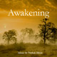 Awakening CD by Fredrik Holm